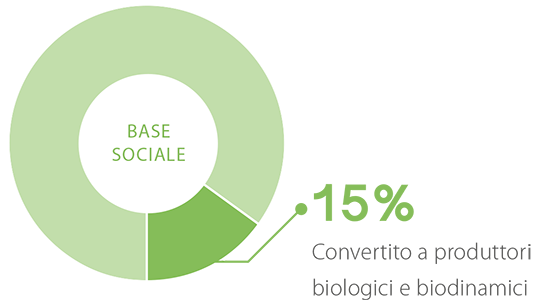 15% convertito a produttori biologici e biodinamici